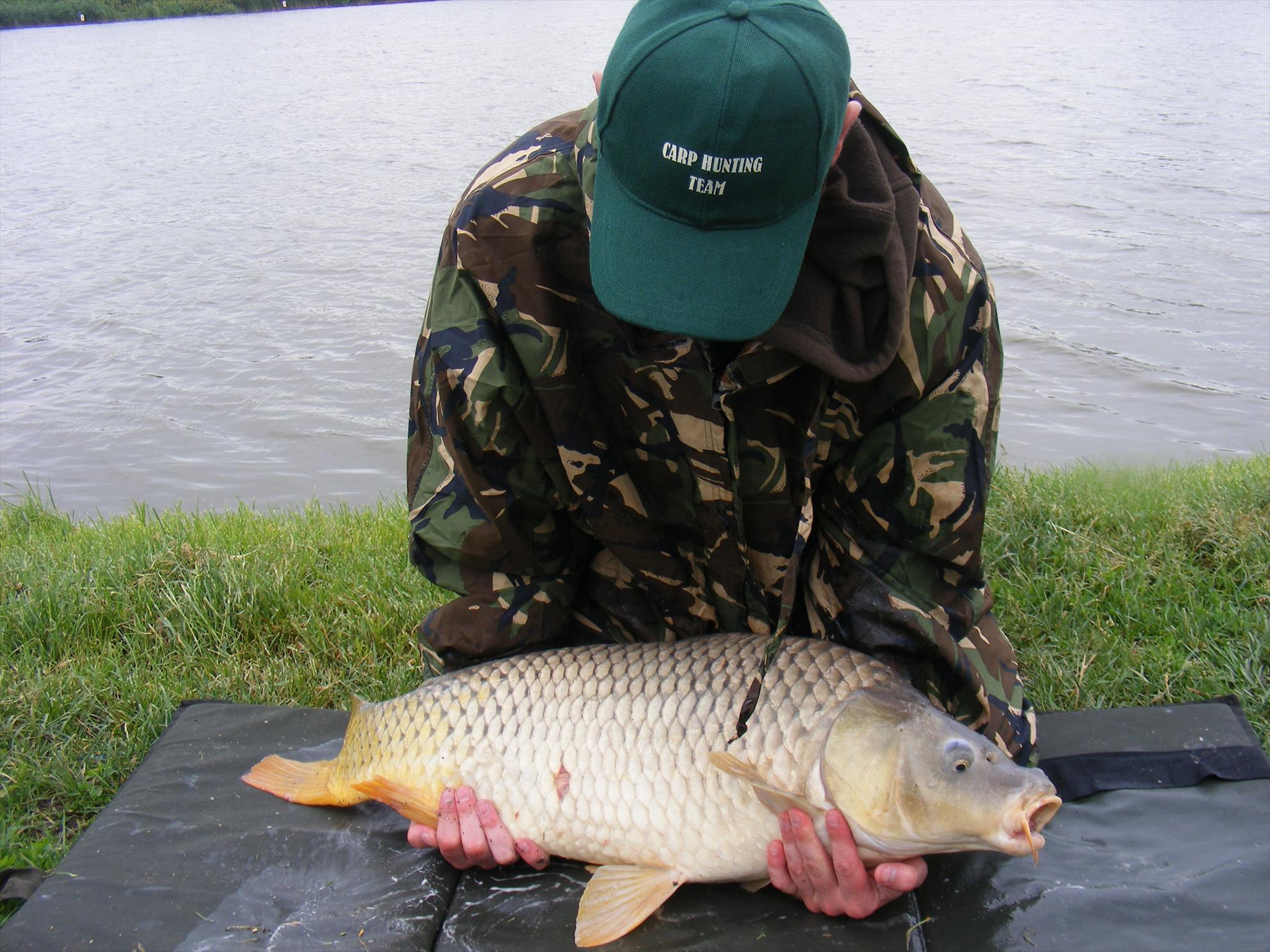 Moara Vlasiei-Dream place! - dscf1679.JPG